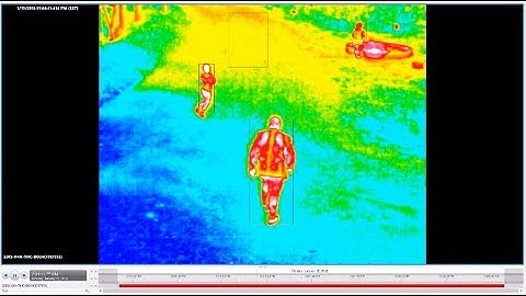 Avigilon H4 Thermal Camera | Family Day