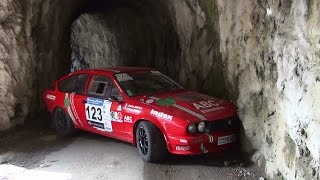 Best of rally 2015 [HD] Show e pure sound historic rallye cars