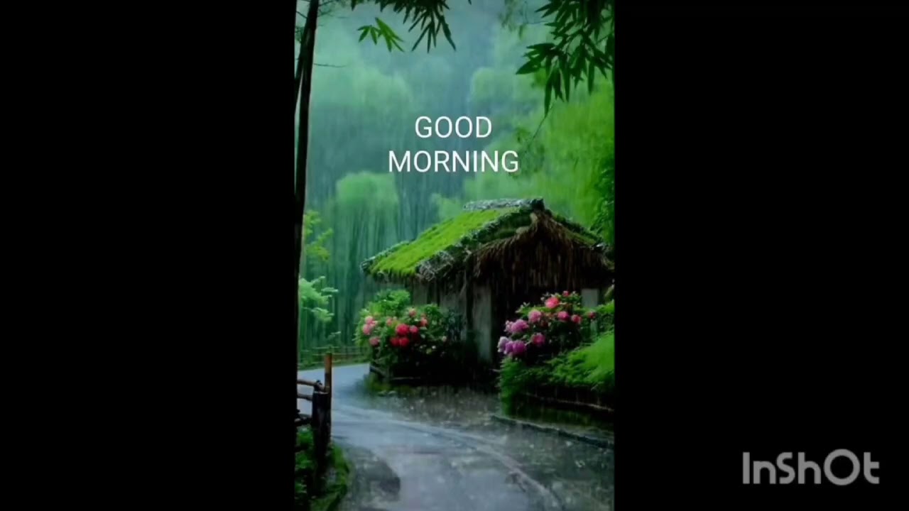 Morning Rain/One day in rainy season/