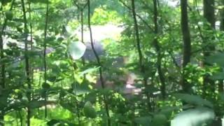 Q472 CSX MONSTER 6 engine lashup in ohiopyle PA