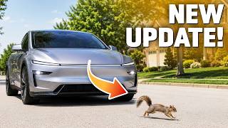 Celebrity Tesla FSD V14.3.3: This New Update is Almost Perfect! Net Worth