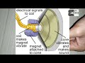 Electro magnet application with demo||Electromagnet working demo