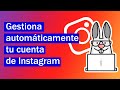 Social Rabbit: Cómo gestionar automáticamente la cuenta de Instagram de tu tienda dropshipping