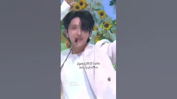 و كلمات الأغنية التي لاتنسى Seventeen Kpop Darling Carats سفنتين سفنتين ملوك التزامن Scoups 