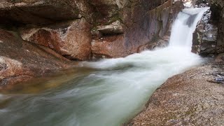 Peaceful River Flowing Sound. Gentle River, Relaxing Nature Sounds. White Noise for Sleep, Study