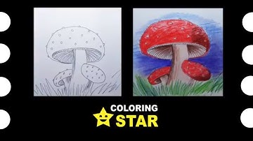 How to draw - cartoon amanita. 🍄 Drawing and Coloring mushroom. Coloring Star - Family channel.