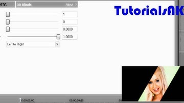 Sony Vegas Tutorial: Effect #11