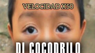 Di Cocodrilo 🐊 X50