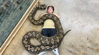 Giant Snake Comes After Little Man | Ross Smith