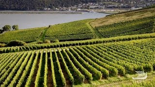 The Wine Regions of Bordeaux