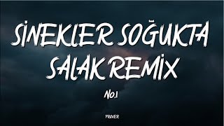 NO.1 – SİNEKLER SOĞUKTA SALAK REMİX (LYRICS / SÖZLERİ) Resimi