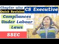 Compliances under Labour Laws CS Executive | SBEC Labour Laws Revision