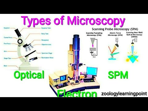 types of microscope with pictures