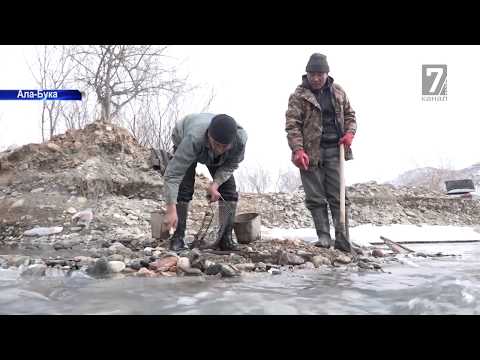 Video: Алтынды жезден кантип ажыратса болот