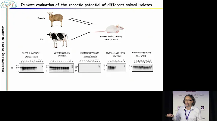 Rodrigo Morales, PhD - Systematic Evaluation of th...
