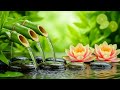 Tranquil Piano and Flowing Water – Calming Music for Wellness, Sleep, and Meditation