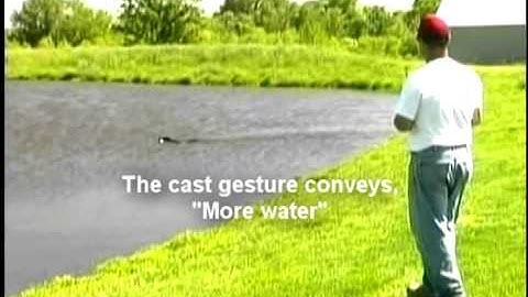 Swimby in brief; Evan Graham