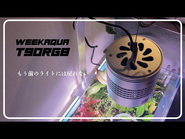 Tシリーズ SE RGB+UVA – WEEK AQUA