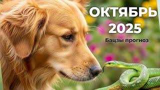 картинка: ОКТЯБРЬ 2025| Бацзы прогноз