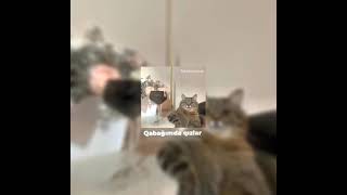 Sağımda Qızlardı Solumda Qızlar