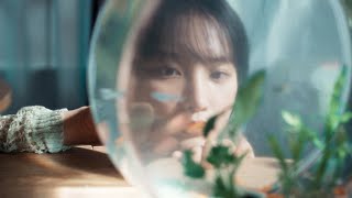 hockrockb / プレゼント交換 -OFFICIAL MUSIC VIDEO-