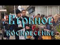 Вербное воскресенье.  Для чего нужна верба?