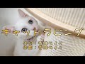 カラオケ キャットラビング 香椎モイミ Feat 可不 オフボーカル メロディ有り Karaoke カラオケ キャットラビング 香椎モイミ Feat 可不 オフボーカル メロディ有り Karaoke