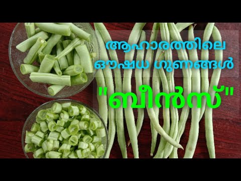 ബീൻസ് ഔഷധ ഗുണങ്ങൾ | Beans കഴിച്ചാലുള്ള ആരോഗ്യ ഗുണങ്ങൾ