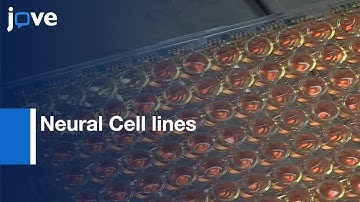 RTCA to Delineate Molecular Pathways in Neural Cell lines | Protocol Preview