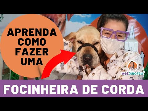 Vídeo: Desenvolvimento da Visão em Filhotes Recém-Nascidos