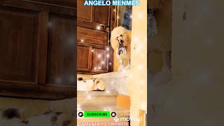 Angelo Llévame A Funkytwon