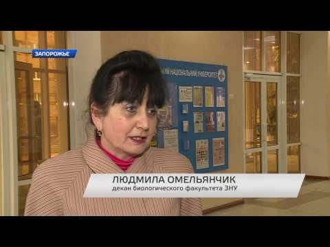 В Запорожье стартовало
