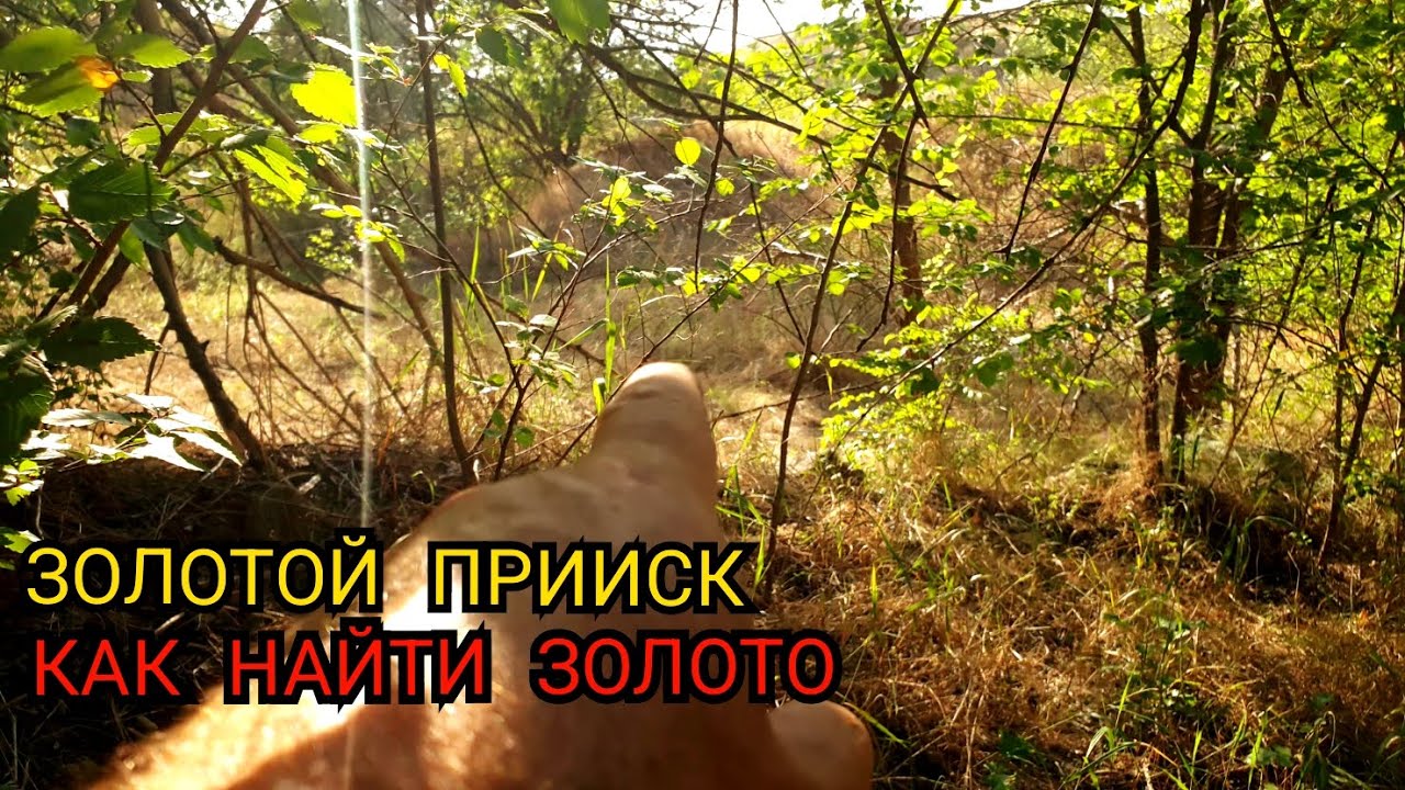 ЗОЛОТОЙ ПРИИСК КАК НАЙТИ ЗОЛОТО