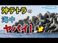 【テトラ探訪】大型イシダイにヒラメまで！魚の集まる場所の違いが面白過ぎた！