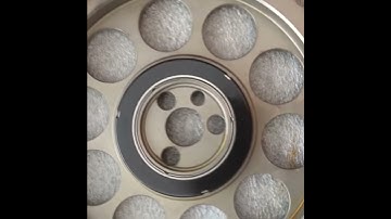 Rollmaster timing set with Torrington bearing