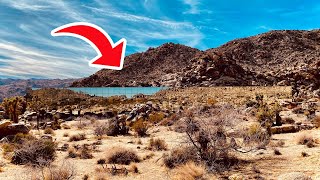 Inside Incredible Homes Hidden In Plain Sight