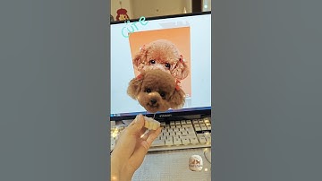 Wool Felt Pet Simulation Handcraft dog #woolfelting #customized #cute