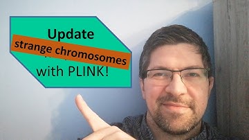 Strange chromosomes in PLINK data files