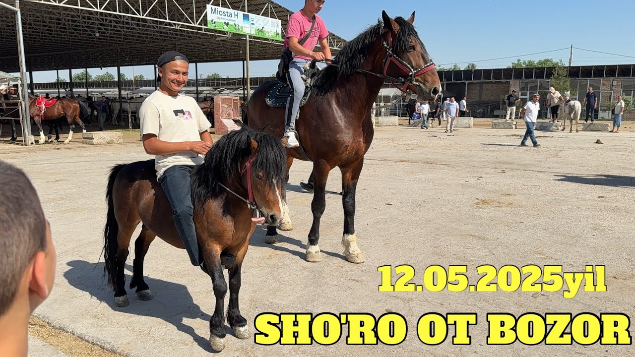 SHO'RO OT BOZOR ONA BOLA BIYALAR VA OTLAR NARXLARI BILAN TANISHING