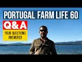 Portugal Farm Life 60 - Q&amp;A Your Questions Answered