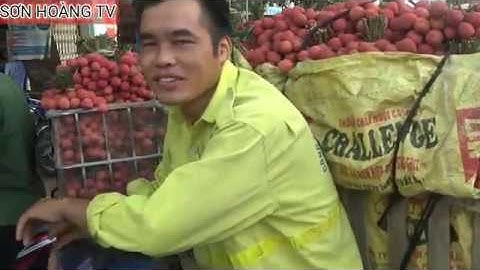 Cập Nhật Giá Vải Thiều Lục Ngạn ngày 8/6 tại ngã ba Tân Hoa ( Luc Ngan litchi )
