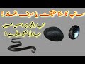 How To Hunt Snake Bead سانپ کا منکا Reality Or Just A Myth 