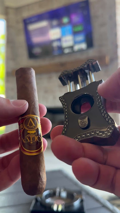 🔥🍂 TOASTING AN OLIVA SERIES V CIGAR ON A SUNNY DAY ☀️🌴#cigar #asmr #cigarshow