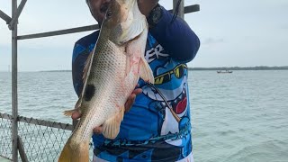 Trip Merakit Di Rakit Hj Mahadi , Kg Johor Lama . Jenahak 