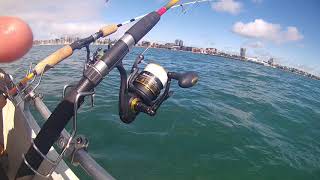 Geelong session 2