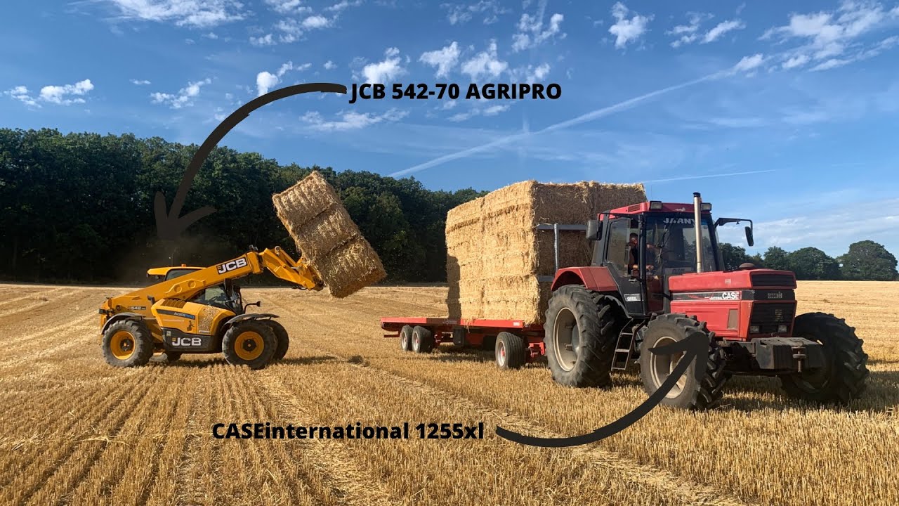 Ramassage de bottes | CASE international 1255 xl 🚜 / JCB 542-70 AGRIPRO 🇬🇧