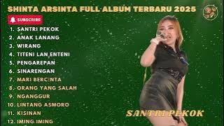 SANTRI PEKOK - ANAK LANANG - SHINTA ARSINTA FULL ALBUM TERBARU DANGDUT KOPLO 2025