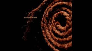 Nine Inch Nails – The Downward Spiral (A Gilded Sickness)