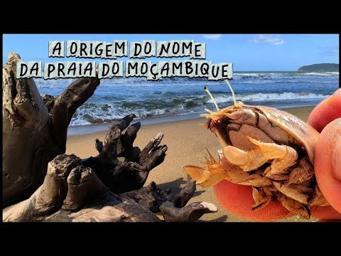 A ORIGEM DO NOME DA PRAIA DO MOÇAMBIQUE!#eneaspelomundo#floripa#praia #natureza #tatuí 