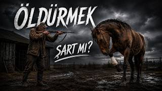 Atlar Bacağı Kırılınca Neden Öldürülür?